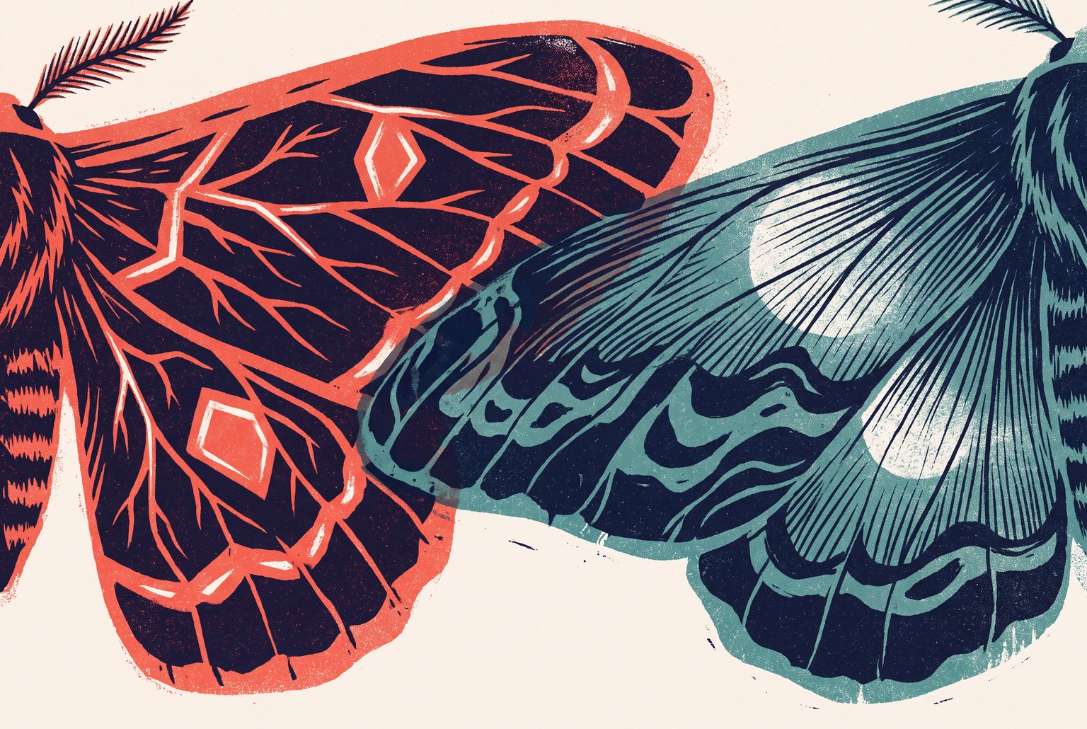 Two overlapping moth wings, one glowing warm red like embers and the other glowing cool blue-green like moonlight, illustrating the same red-versus-blue-green split that separates human night vision from night vision goggles